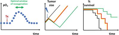 The Role of Imaging Biomarkers to Guide Pharmacological Interventions Targeting Tumor Hypoxia